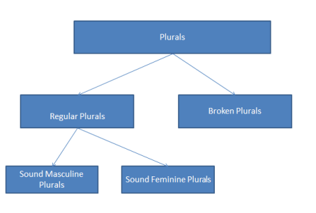 arabic plurals classification