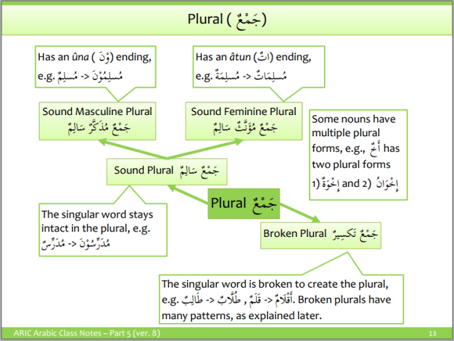 Arabic Plurals 