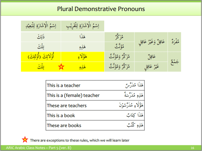 Arabic Plurals 