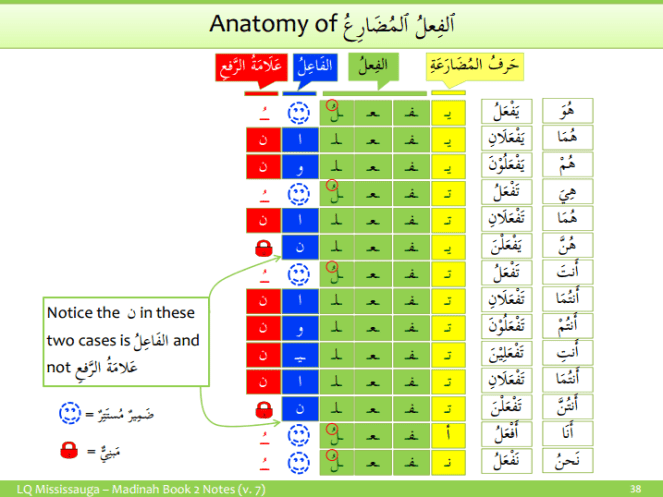 Anatomy of Fial Mudari